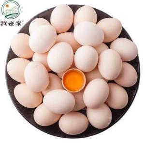 卓宸 荷兰奶饲牛腱子 1-1.2kg*3件